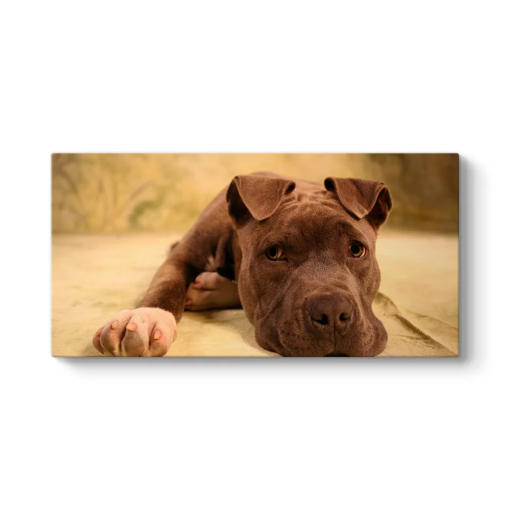 Yavru Pitbull Tablosu - Model 5